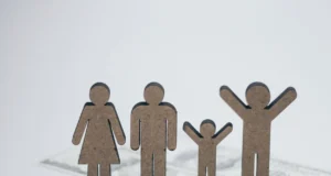 Family Budget Planner: Juggling Insurance & Daily Costs family budget planner