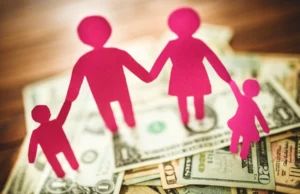 Family Budget Planner: Smart Travel & Accident Cover family budget planner